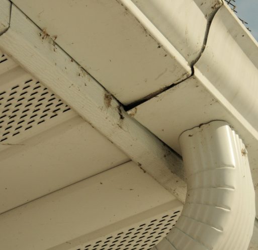 amen-roofing-florida-gutter-repair